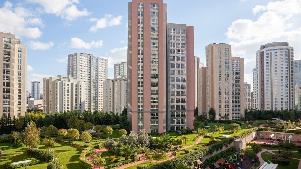 הכירו את עץ השקד – המקום שלכם למצוא נדל"ן איכותי!