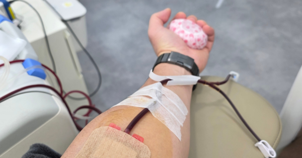איך להגדיל את התרומות: כך מבצעים גיוס תרומות לעמותות בצורה חכמה ומסודרת